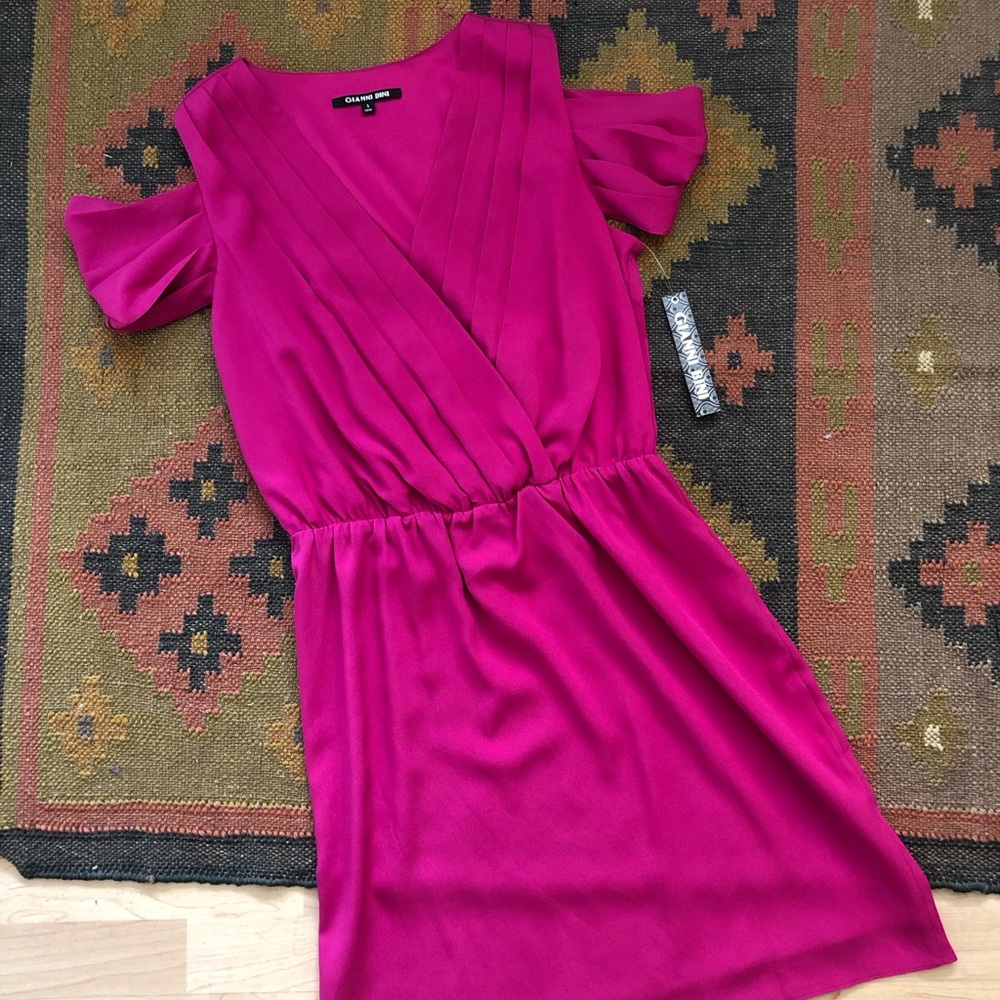 Gianna Bini dress